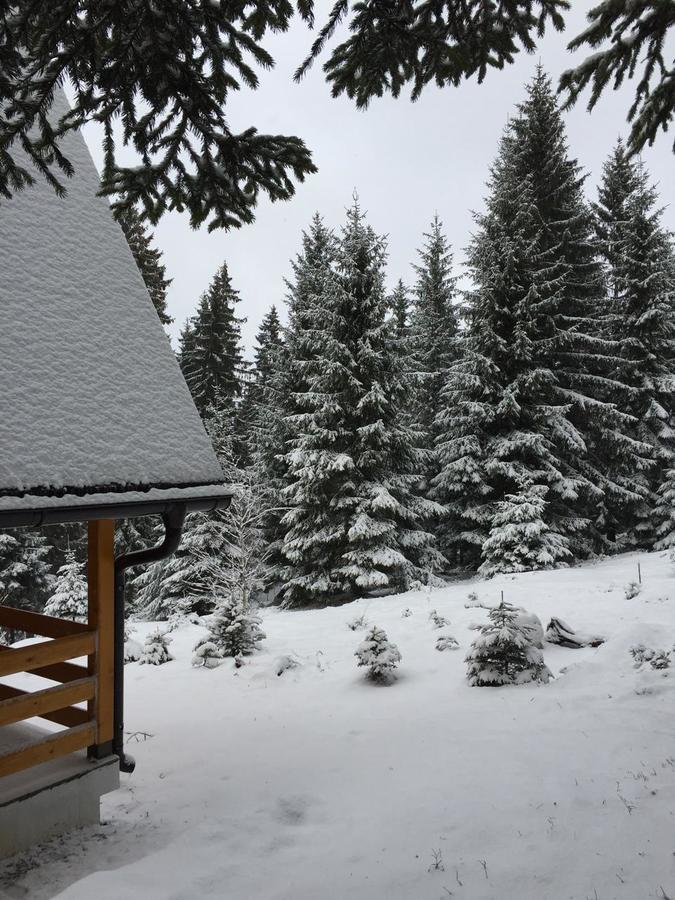 Zlatair Chalets Villa Nova Varoš Exterior foto